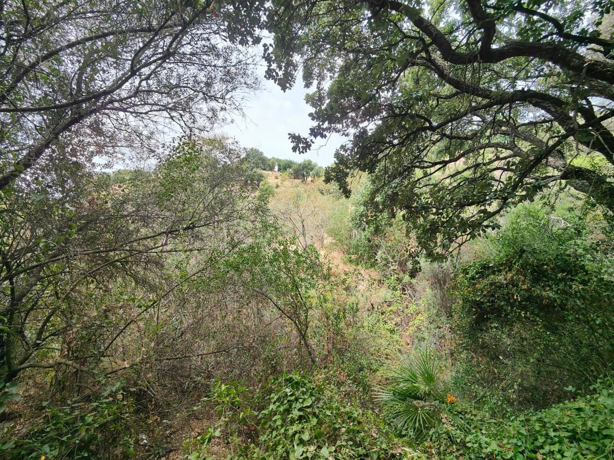 Land in Istán — photo 3 of 6