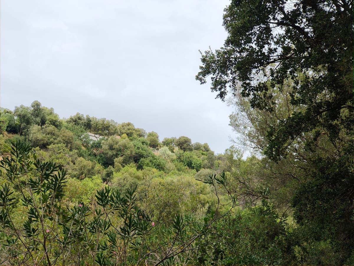Land in Istán — photo 5 of 6