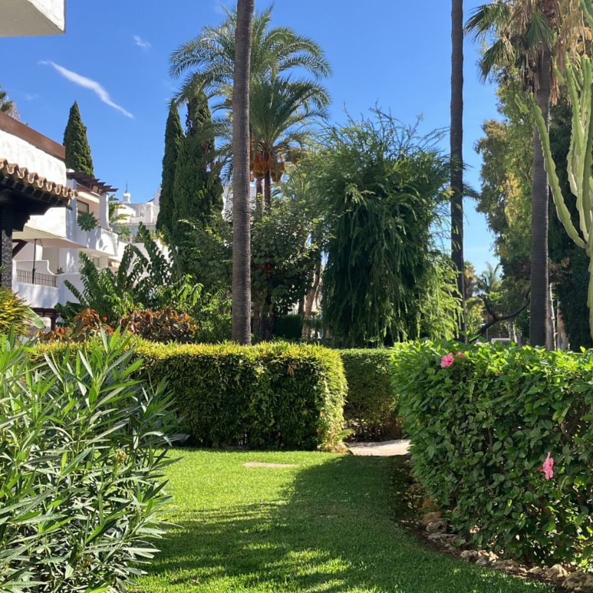 Ground Floor Apartment in Puerto Banús — photo 6 of 10