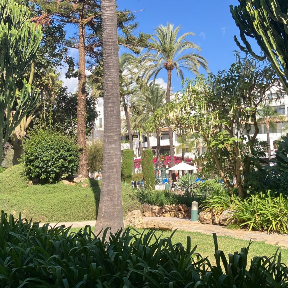 Ground Floor Apartment in Puerto Banús — photo 7 of 10
