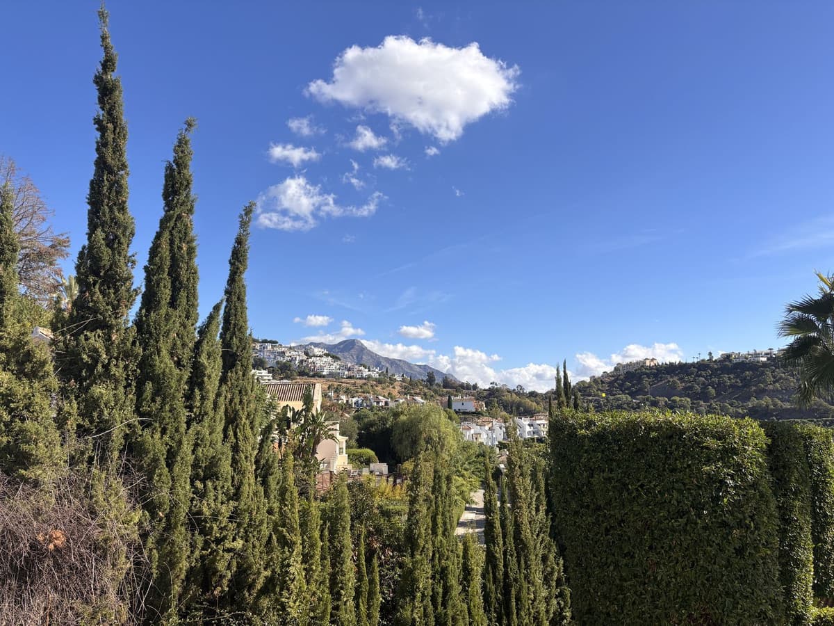 Detached Villa in Benahavís — photo 4 of 10