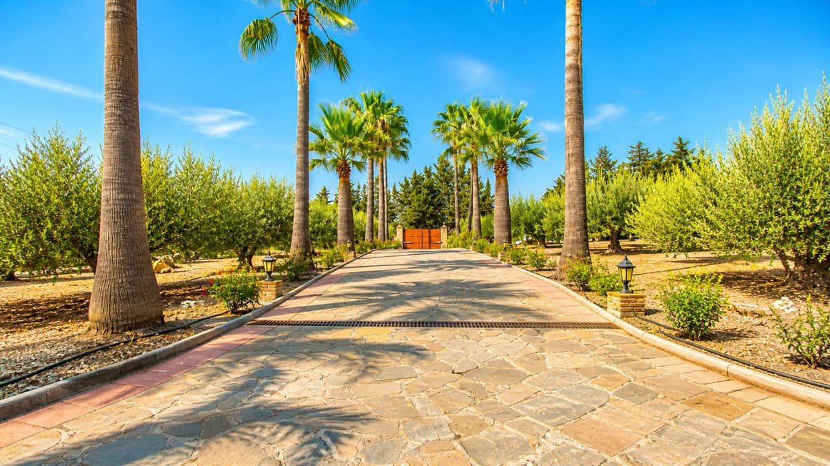 Cortijo in Estepona — photo 5 of 10