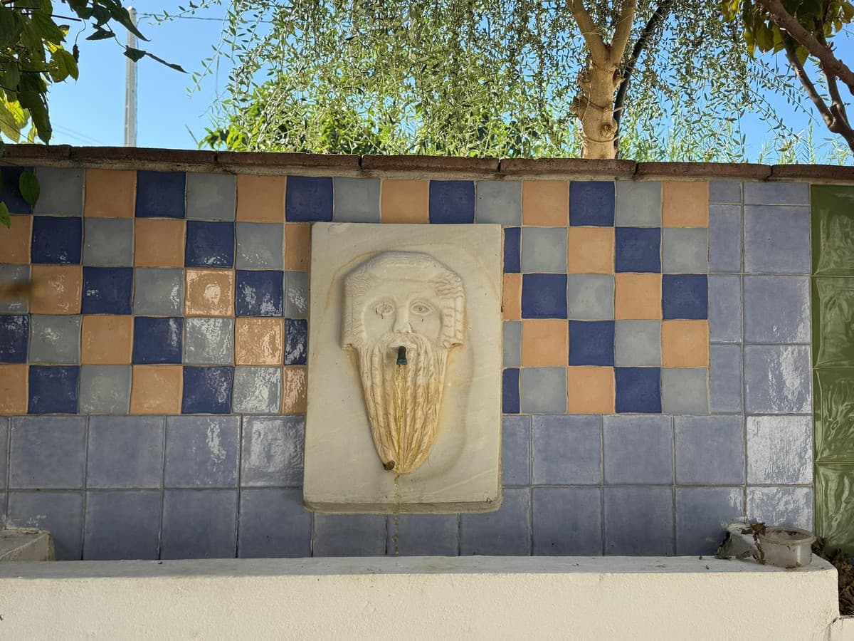 Cortijo in Coín — photo 9 of 10