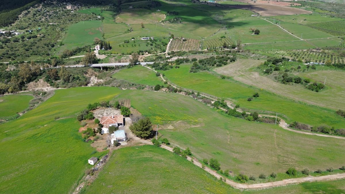 Land in Ronda — photo 4 of 10