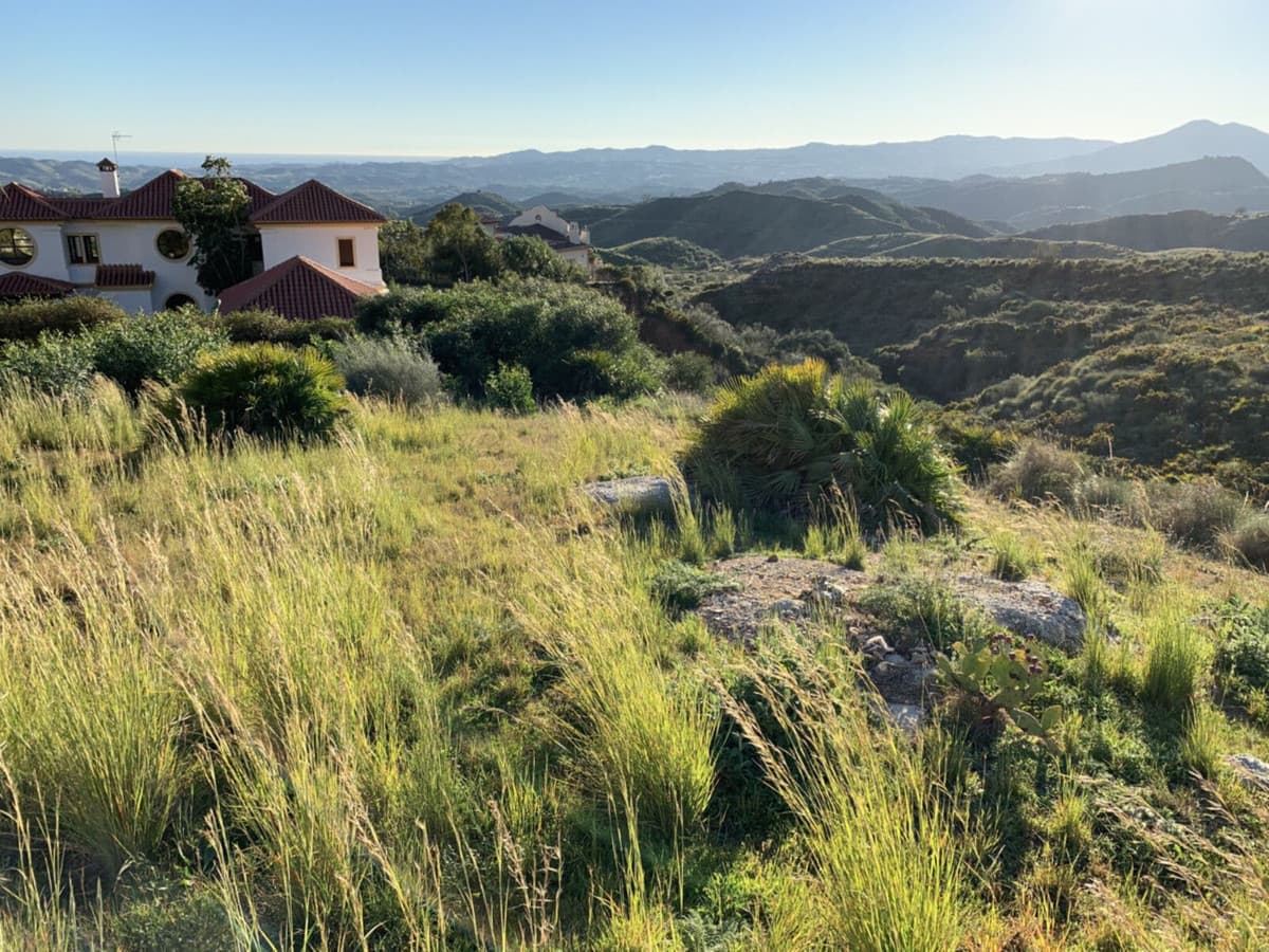 Residential Plot in Valtocado — photo 3 of 9