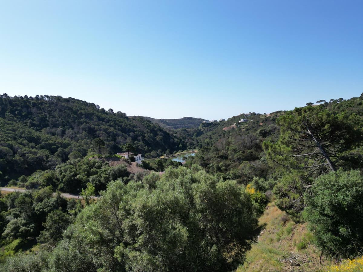 Residential Plot in Benahavís — photo 5 of 10