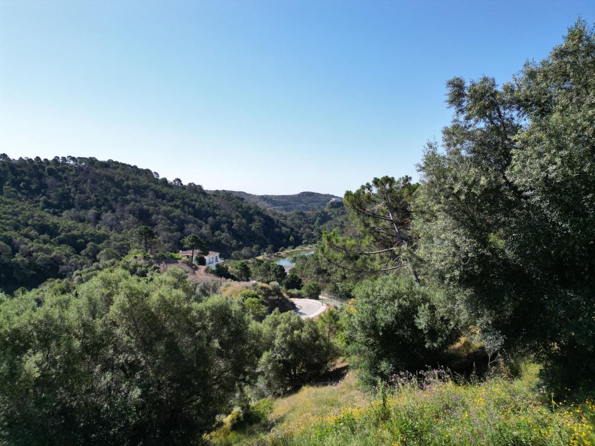 Residential Plot in Benahavís — photo 6 of 10