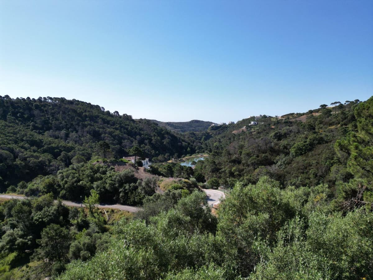Residential Plot in Benahavís — photo 8 of 10