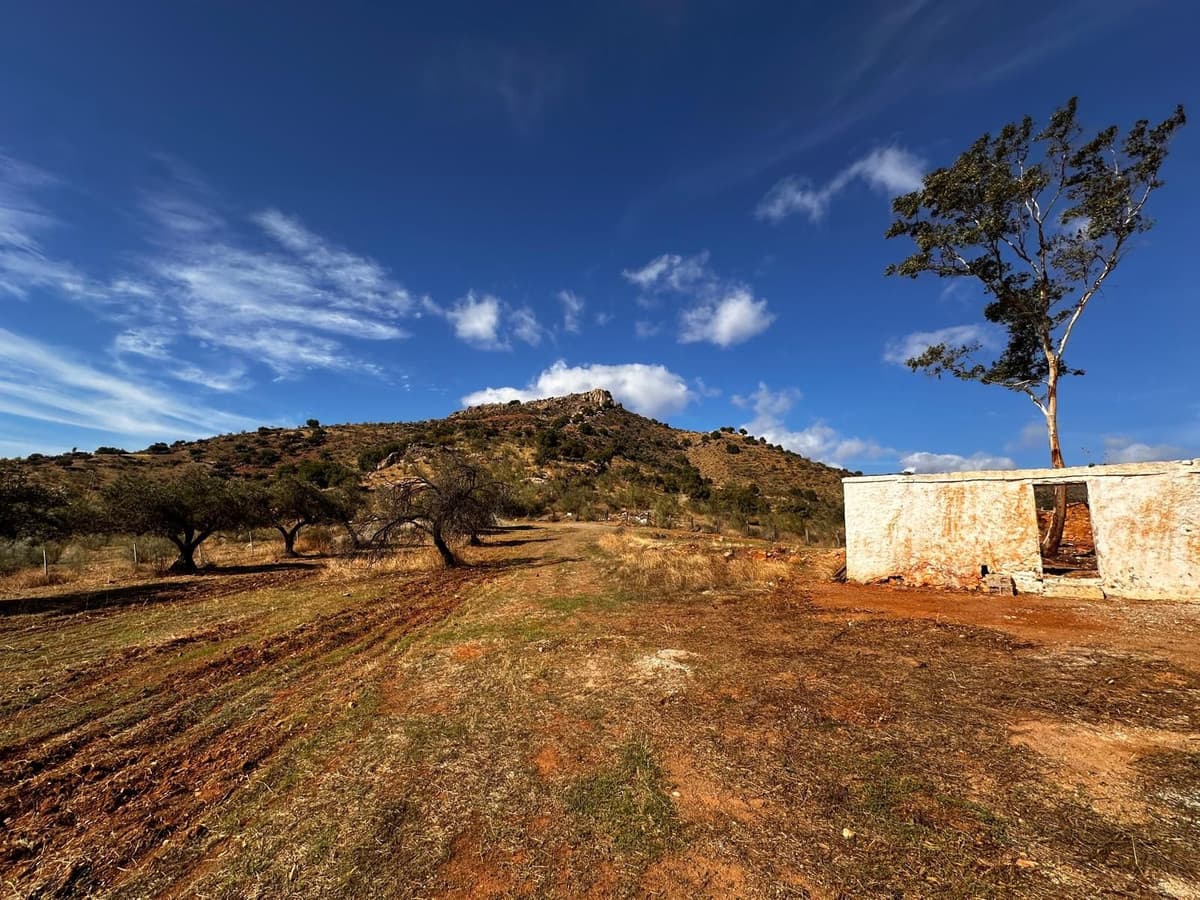 Residential Plot in Almogía — photo 4 of 10