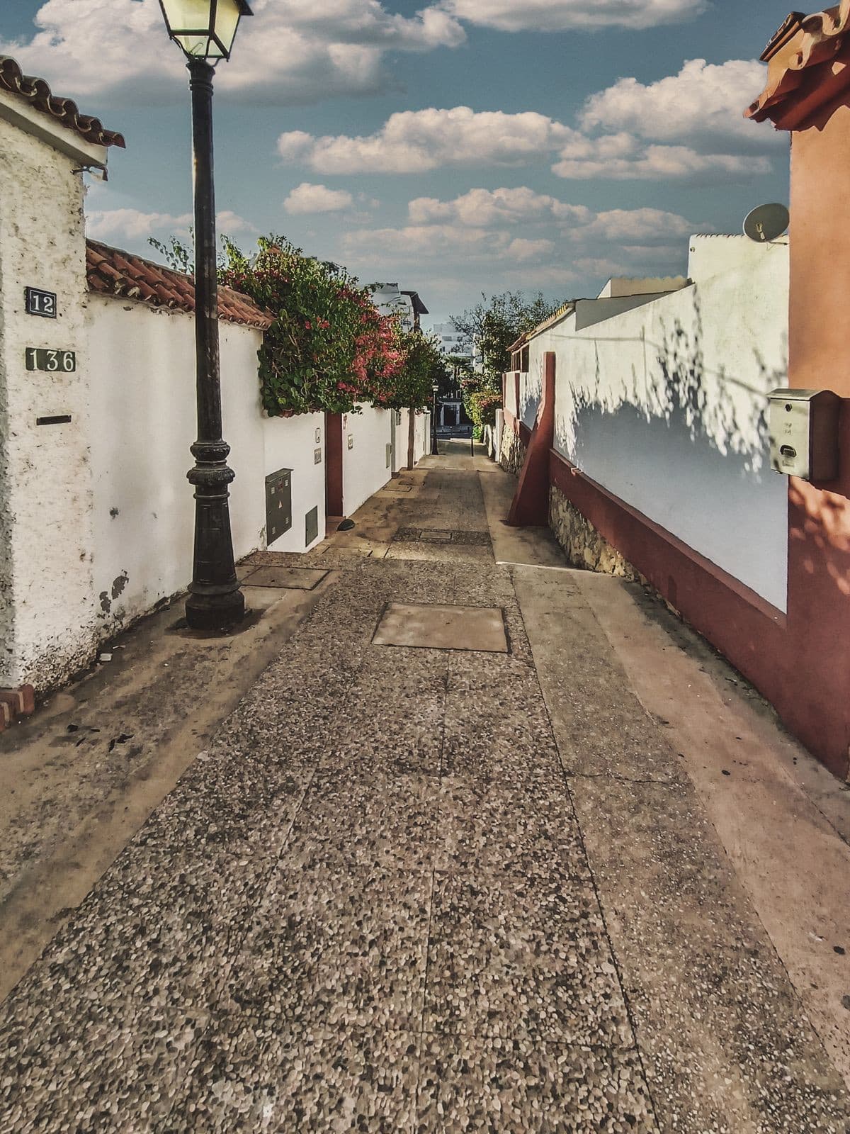 Semi-Detached House in La Campana — photo 4 of 10