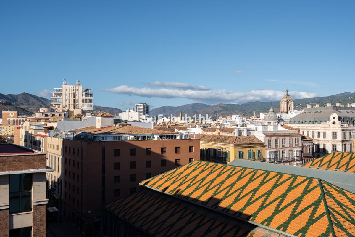Middle Floor Apartment in Málaga — photo 4 of 10