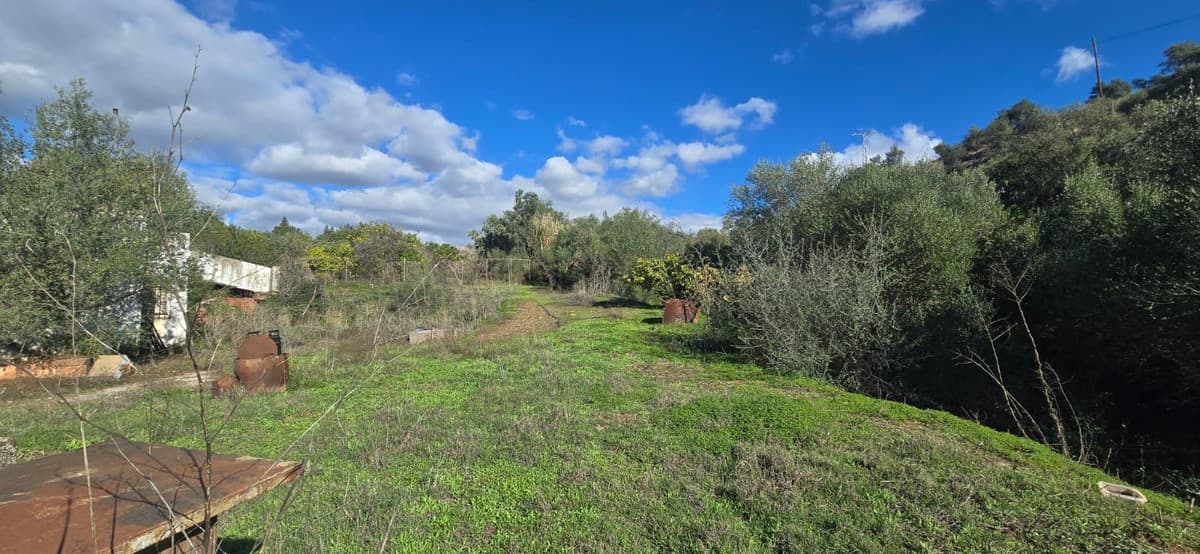 Cortijo in Estepona — photo 2 of 10