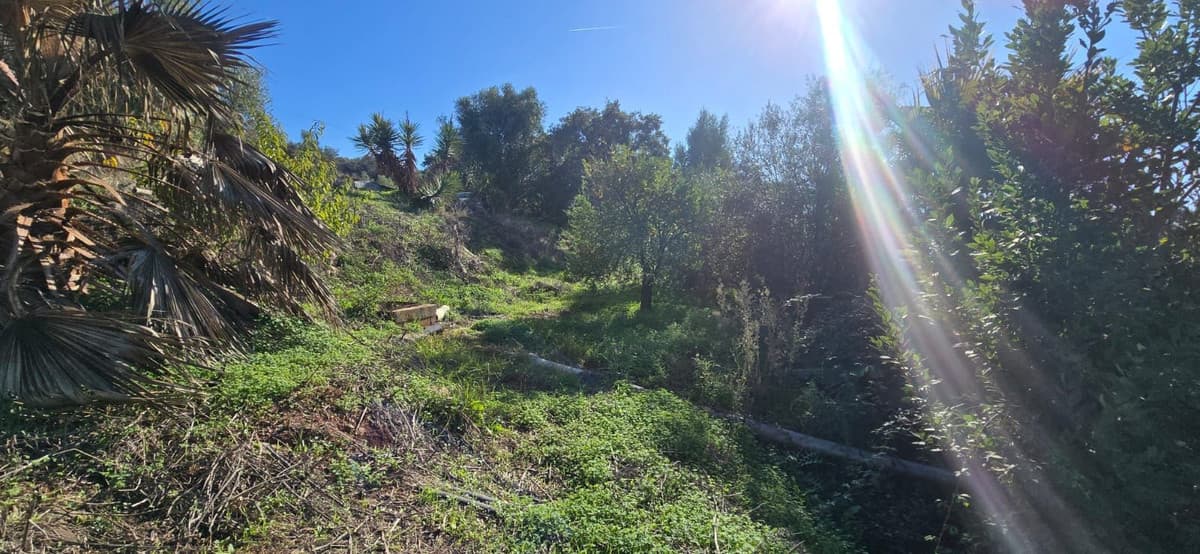 Cortijo in Estepona — photo 6 of 10
