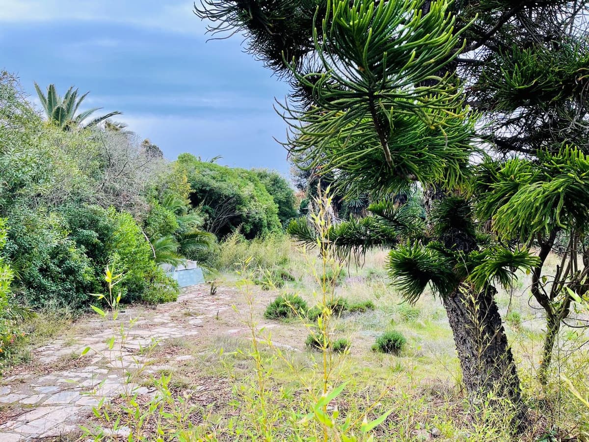 Residential Plot in Estepona — photo 1 of 1