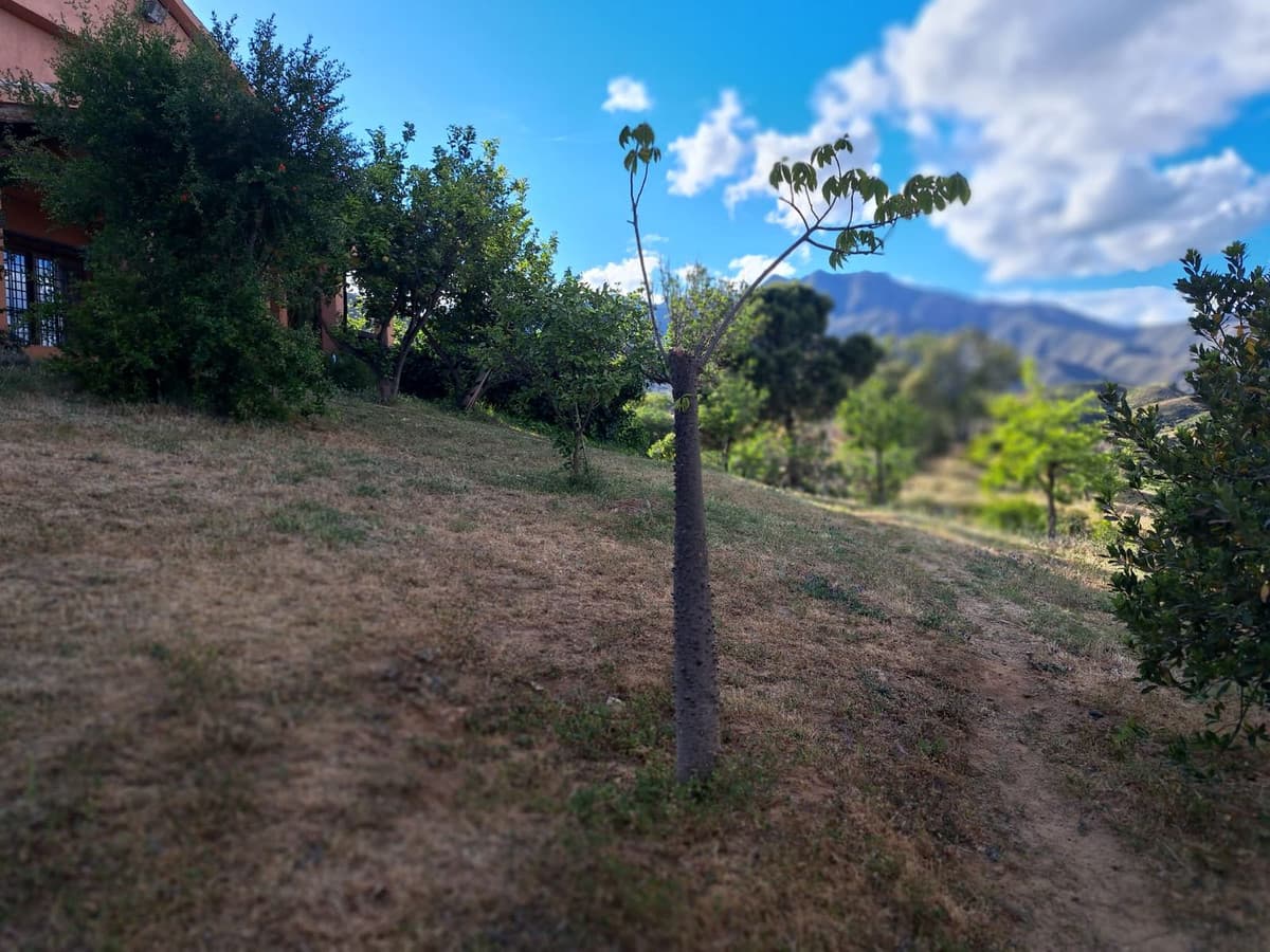Cortijo in Mijas — photo 9 of 10