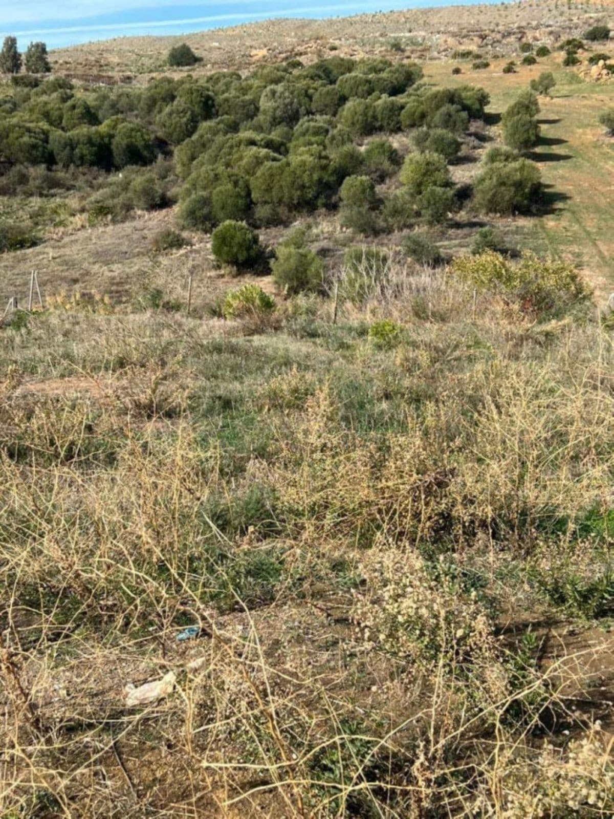 Residential Plot in Guadalmina Alta — photo 6 of 6