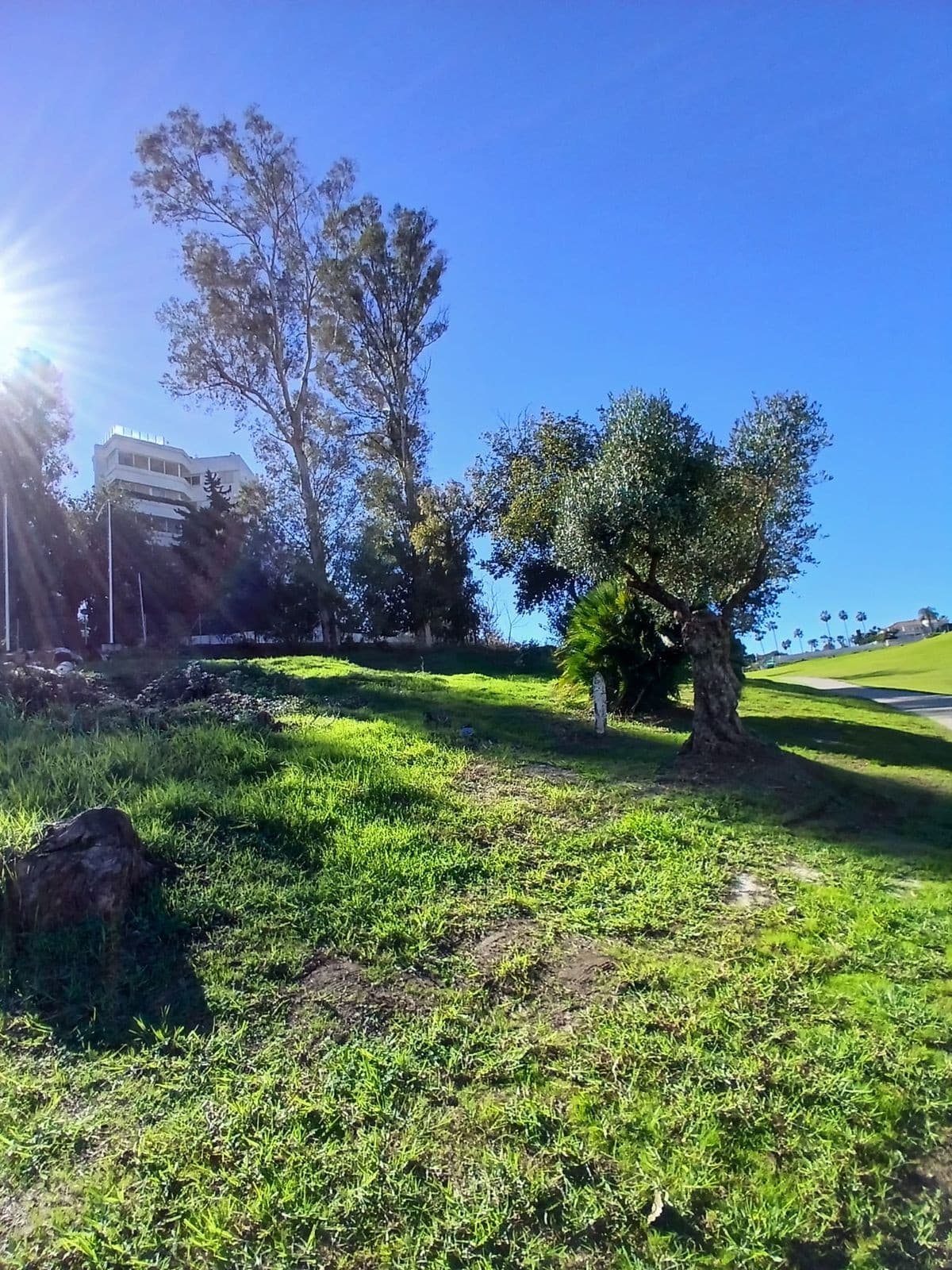 Residential Plot in Guadalmina Alta — photo 4 of 10