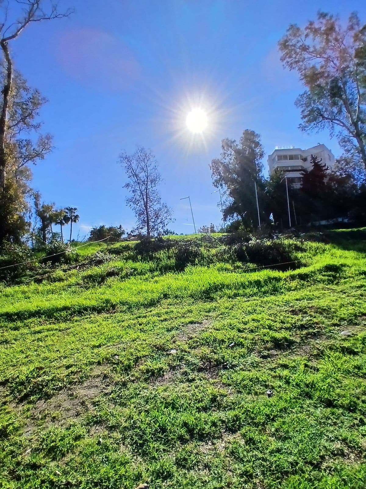 Residential Plot in Guadalmina Alta — photo 5 of 10