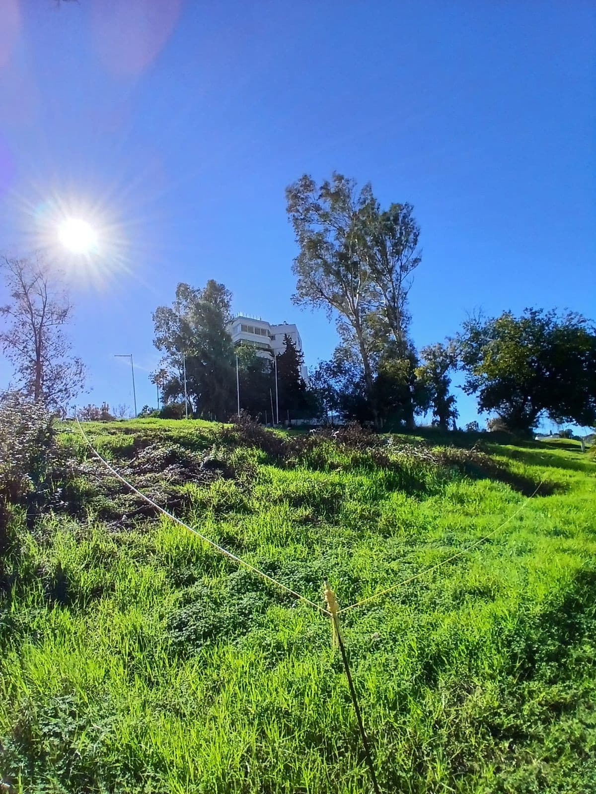 Residential Plot in Guadalmina Alta — photo 6 of 10
