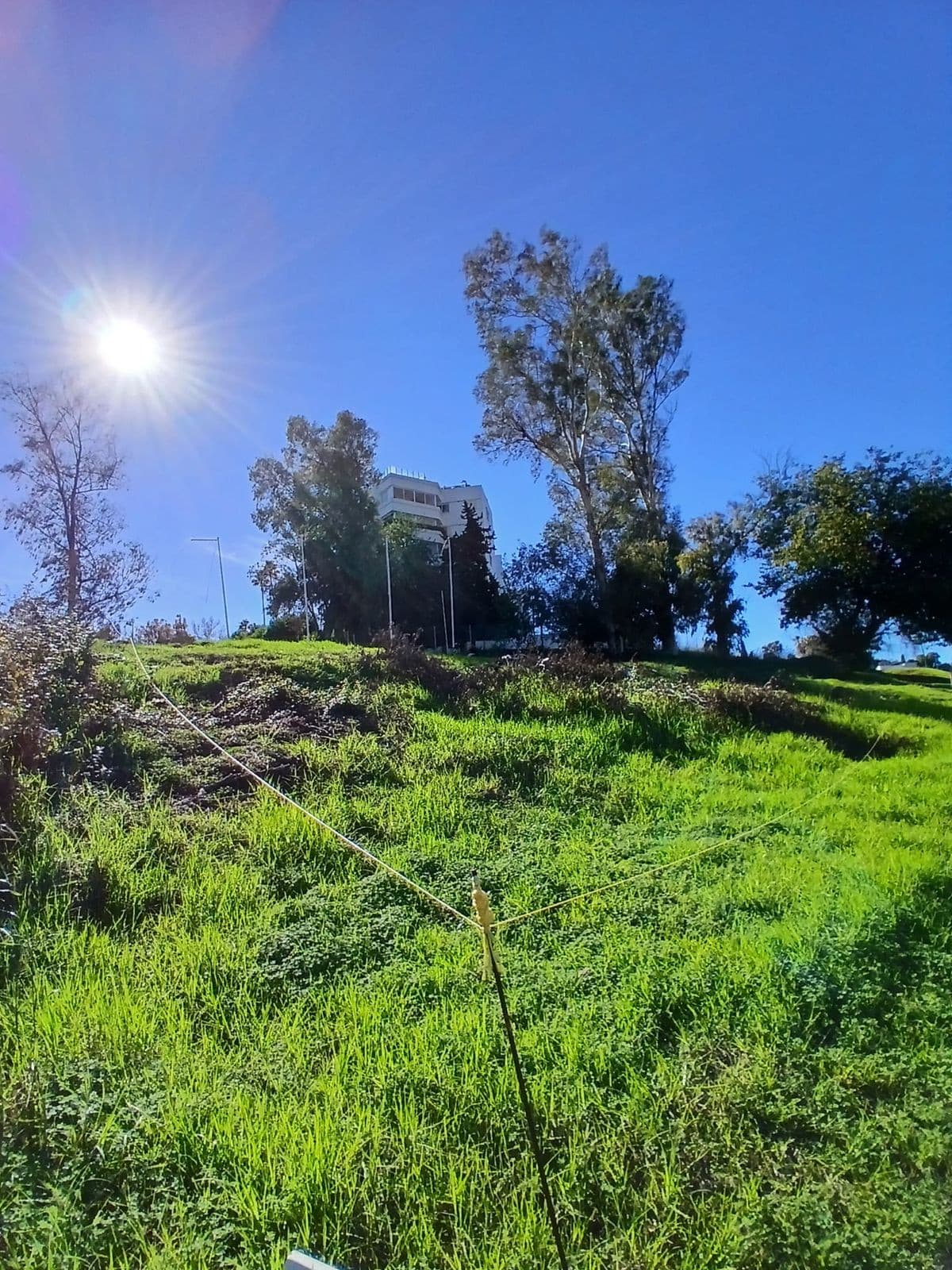 Residential Plot in Guadalmina Alta — photo 8 of 10