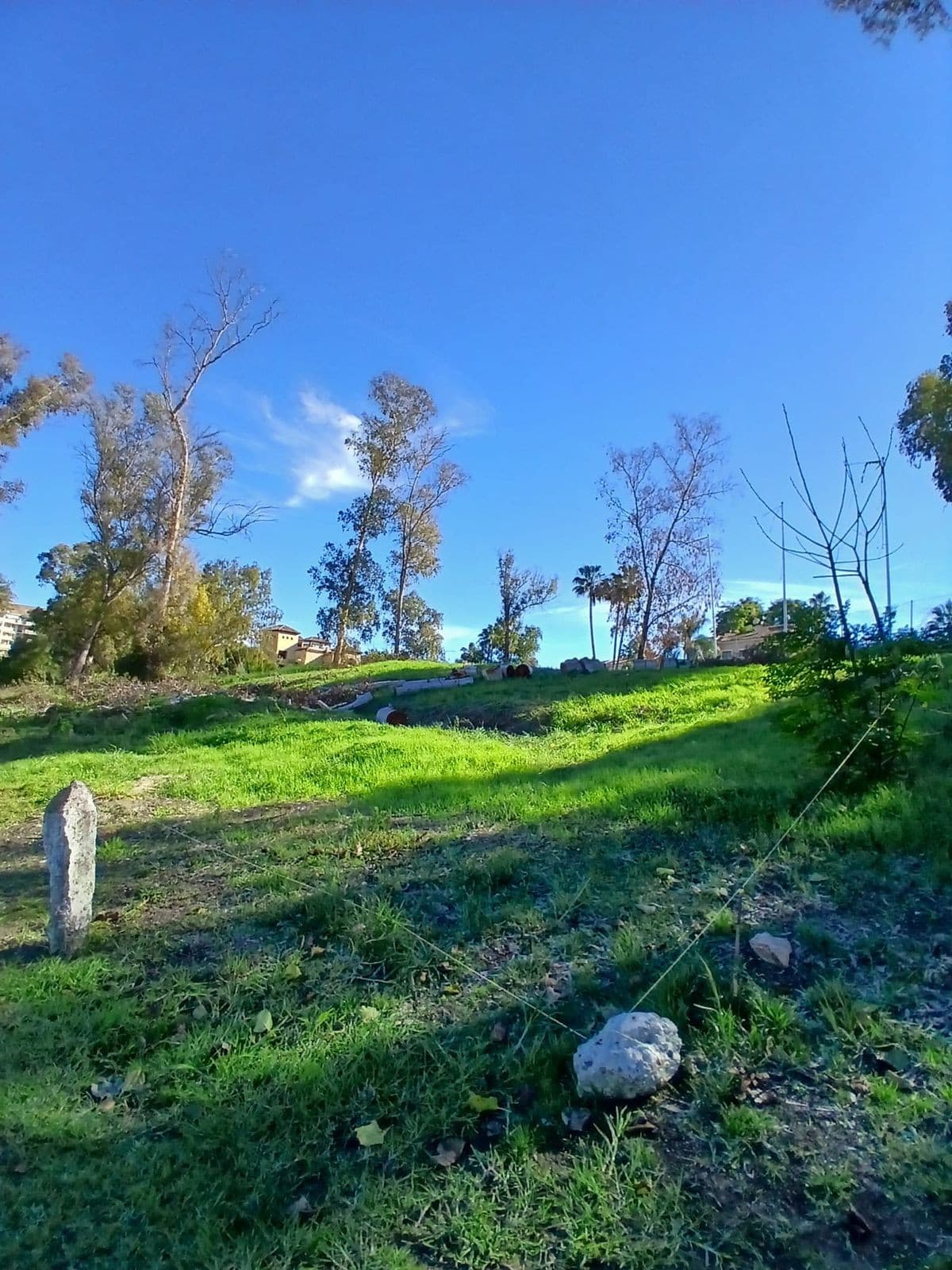 Residential Plot in Guadalmina Alta — photo 10 of 10