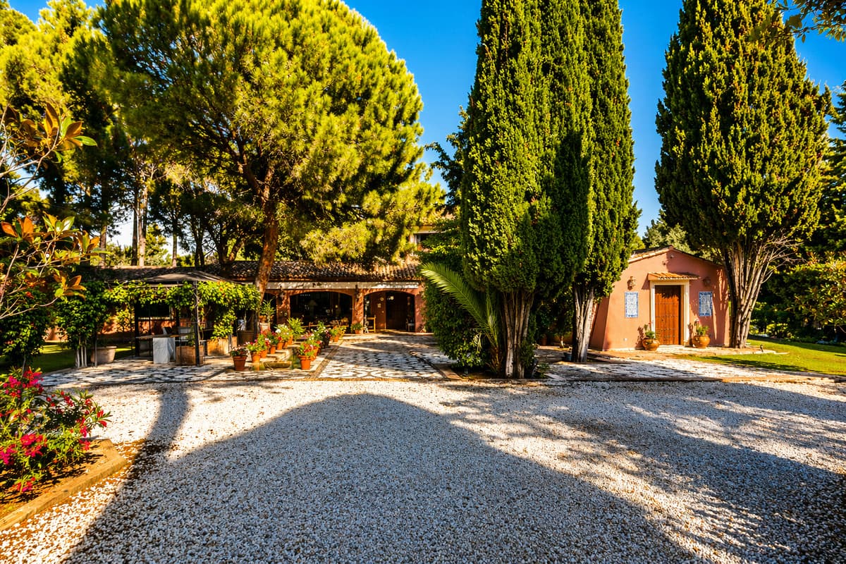 Detached Villa in Guadalmina Baja — photo 4 of 10