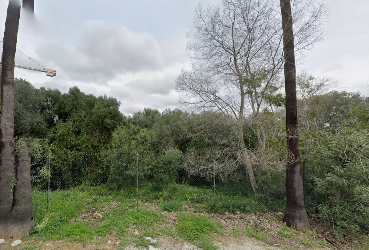 Residential Plot in Sotogrande Alto — photo 2 of 10