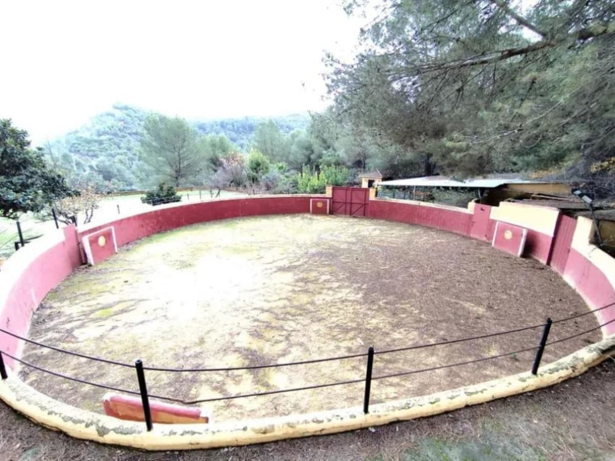 Cortijo in Monda — photo 2 of 10