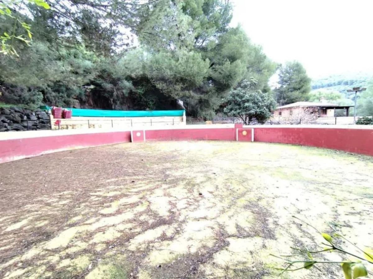 Cortijo in Monda — photo 9 of 10