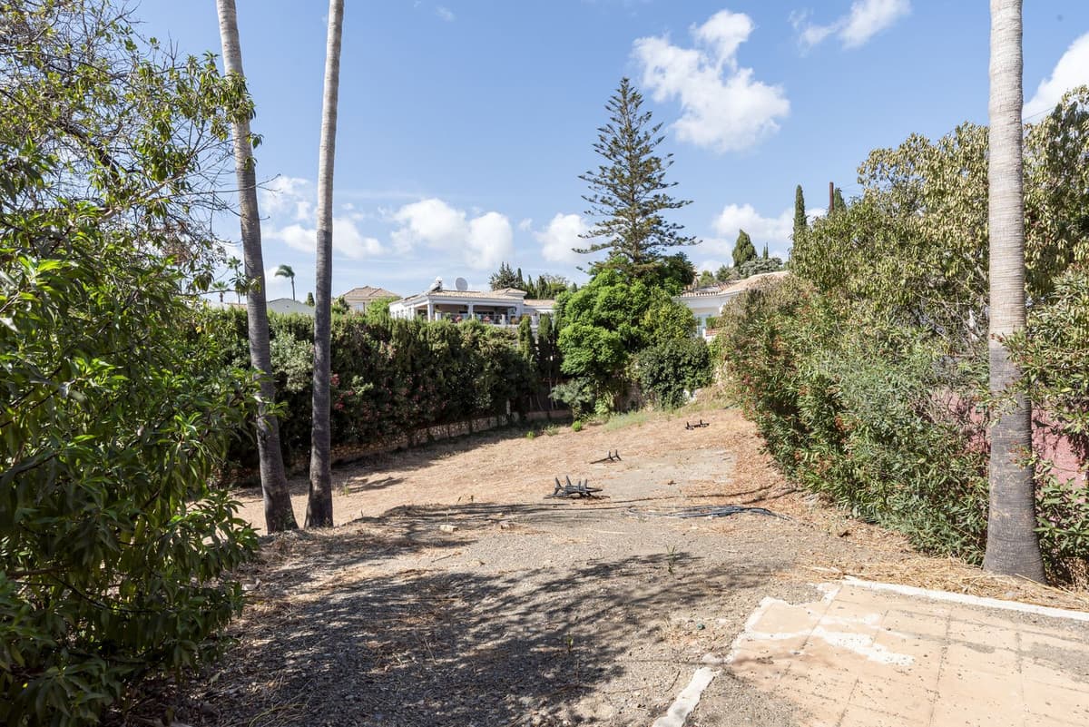 Residential Plot in El Rosario — photo 3 of 6