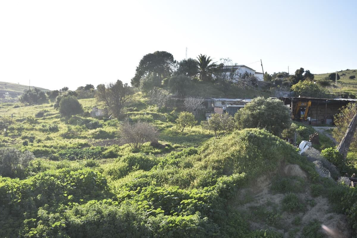 Cortijo in Casares — photo 10 of 10