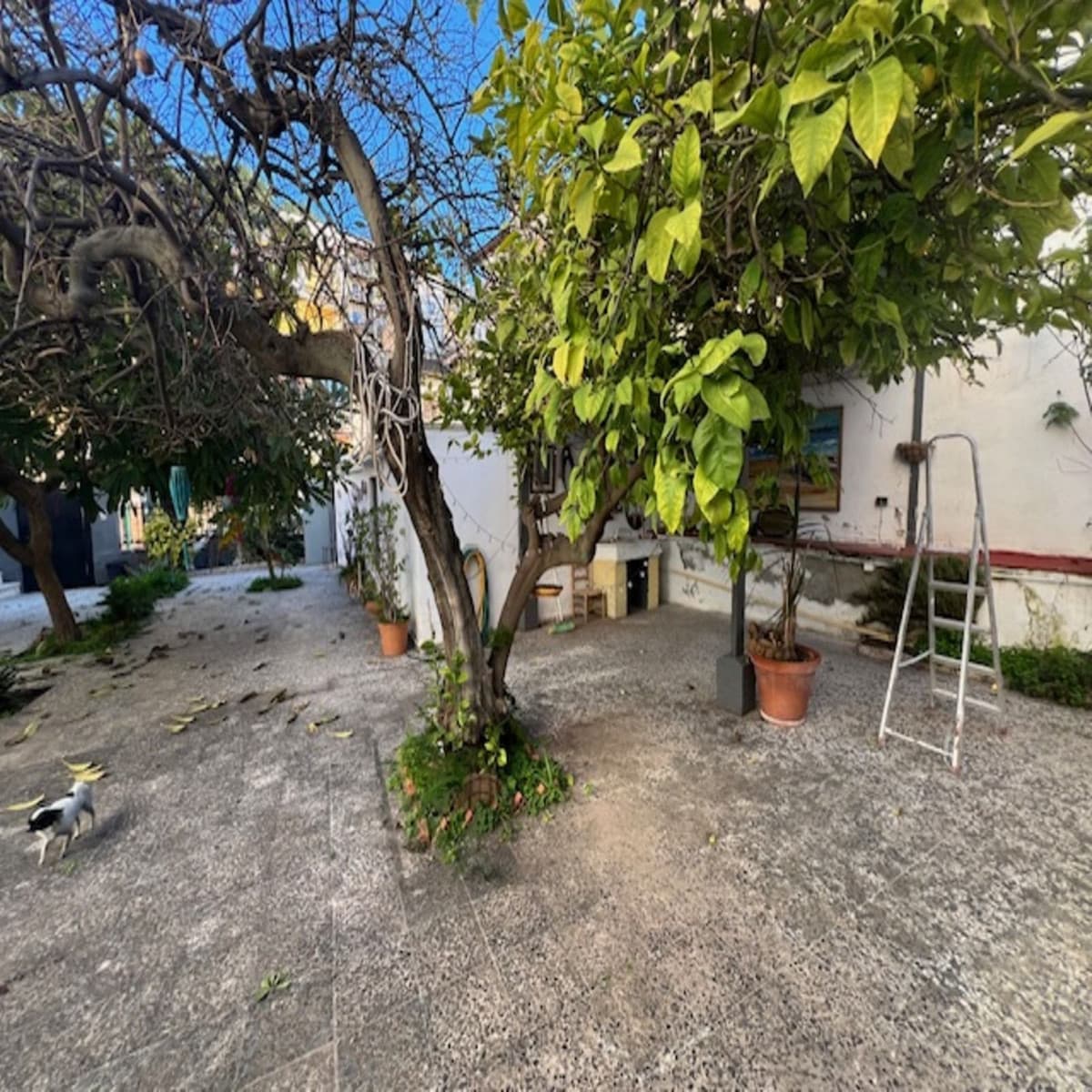 Detached Villa in La Victoria — photo 4 of 10