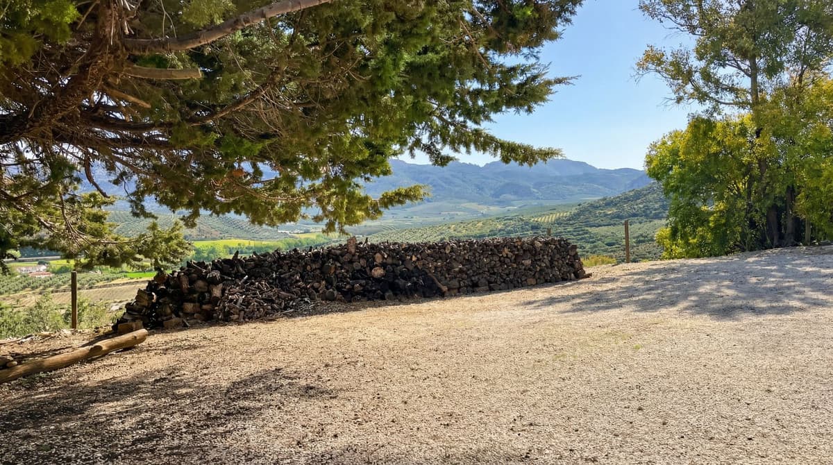 Cortijo in Villanueva del Rosario — photo 9 of 10