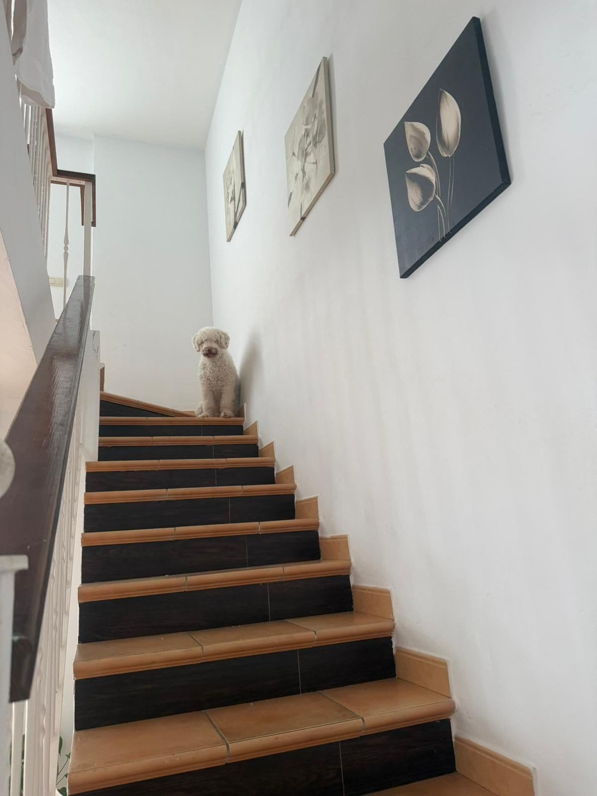 Townhouse in Benahavís — photo 4 of 10