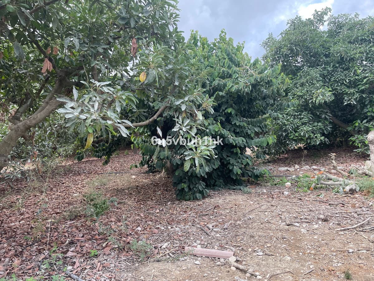 Land in Coín — photo 4 of 10
