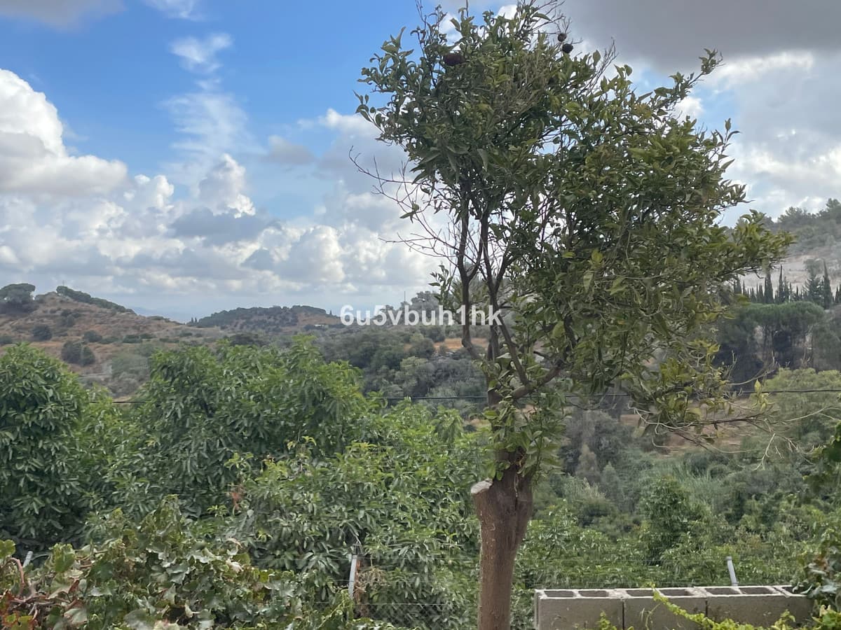 Land in Coín — photo 5 of 10
