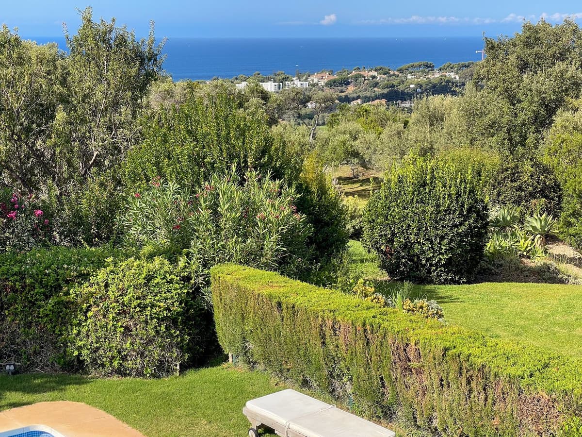 Detached Villa in El Rosario — photo 9 of 10