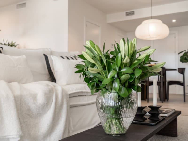 Ground Floor Apartment in Benahavís — photo 9 of 10