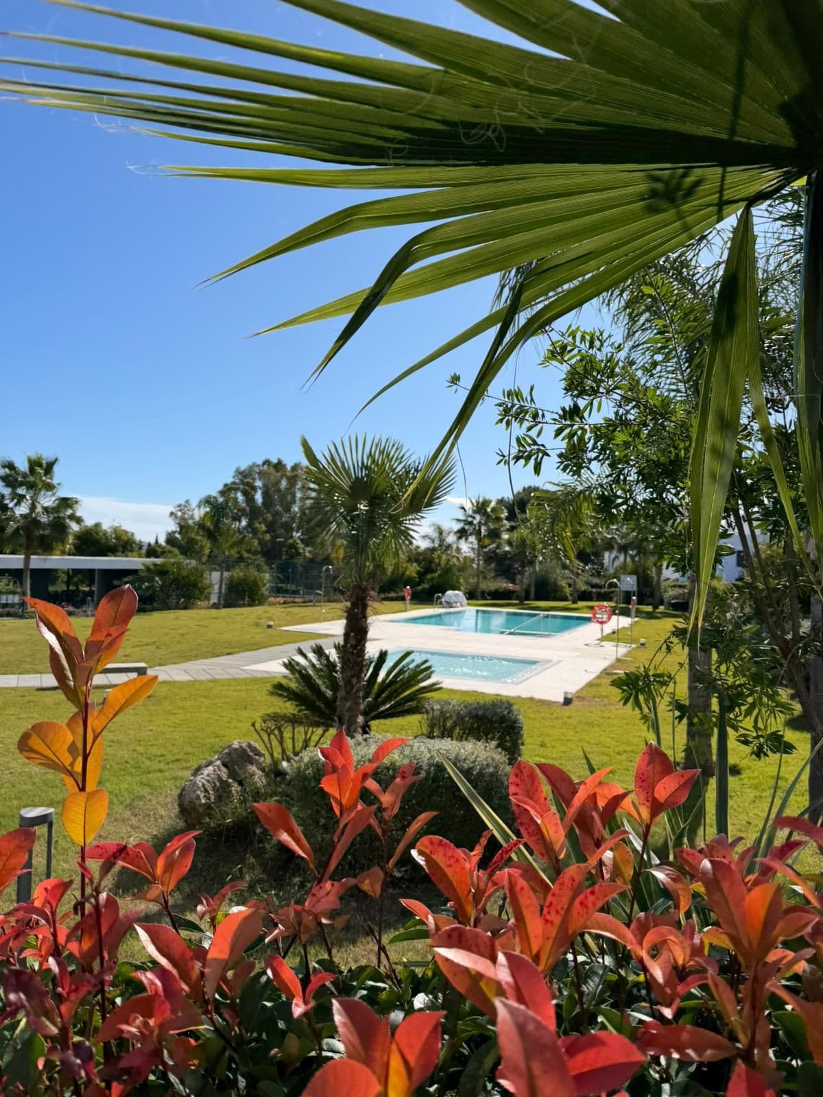 Ground Floor Apartment in Estepona — photo 4 of 10