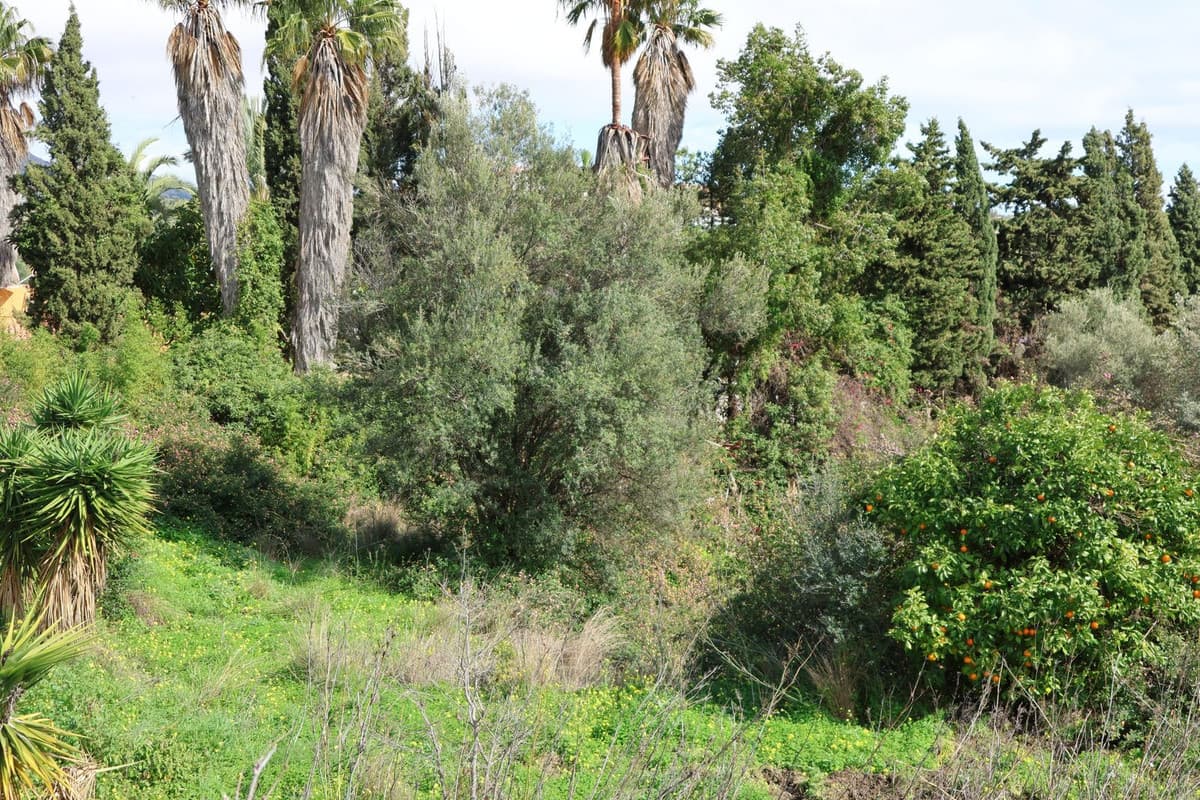Residential Plot in Mijas — photo 7 of 10