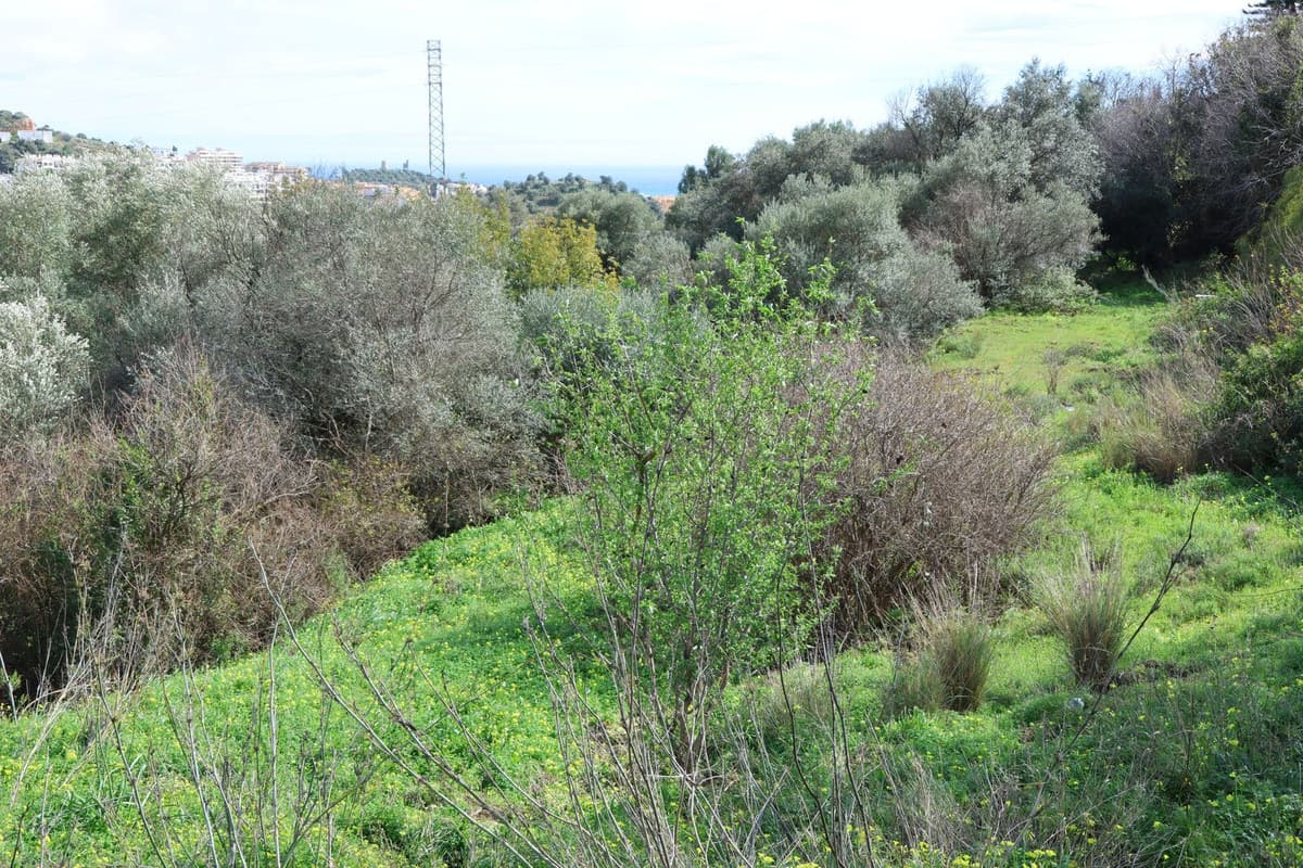 Residential Plot in Mijas — photo 8 of 10