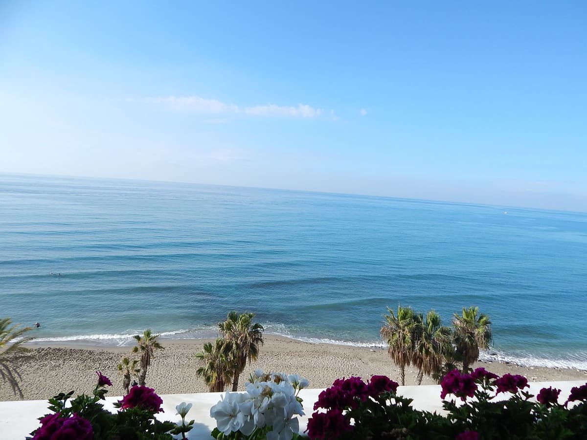 Middle Floor Apartment in Marbella — photo 3 of 10