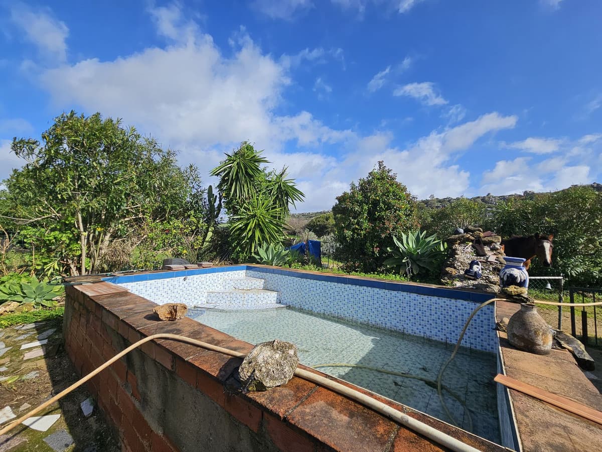 Bungalow in Casares — photo 4 of 10