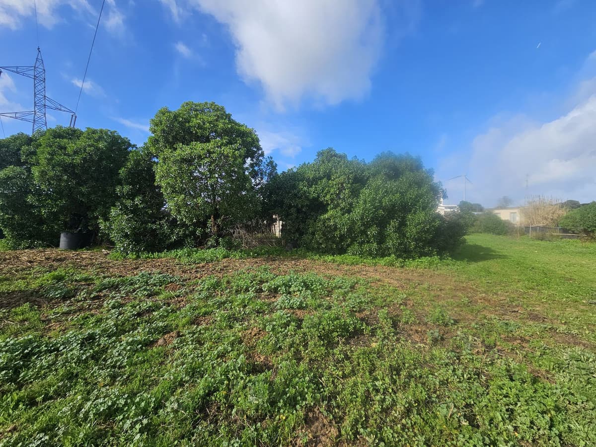 Bungalow in Casares — photo 10 of 10