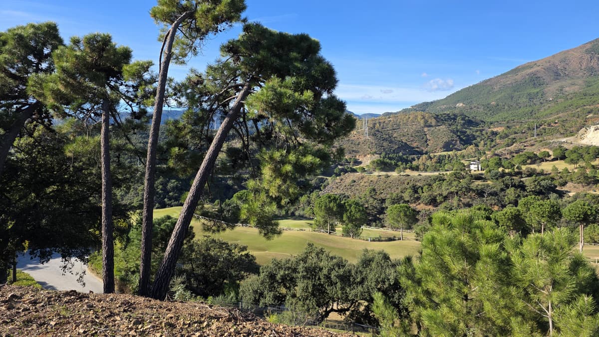 Land in La Zagaleta — photo 3 of 10