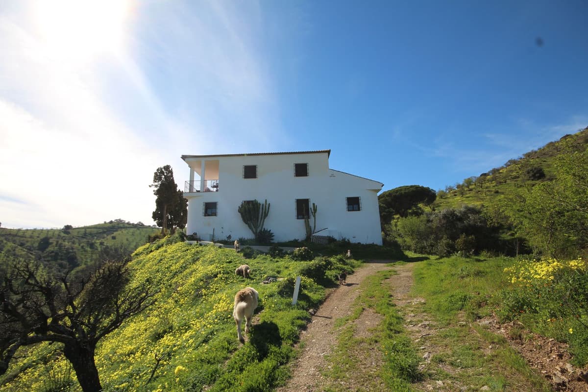 Cortijo in Almogía — photo 2 of 10
