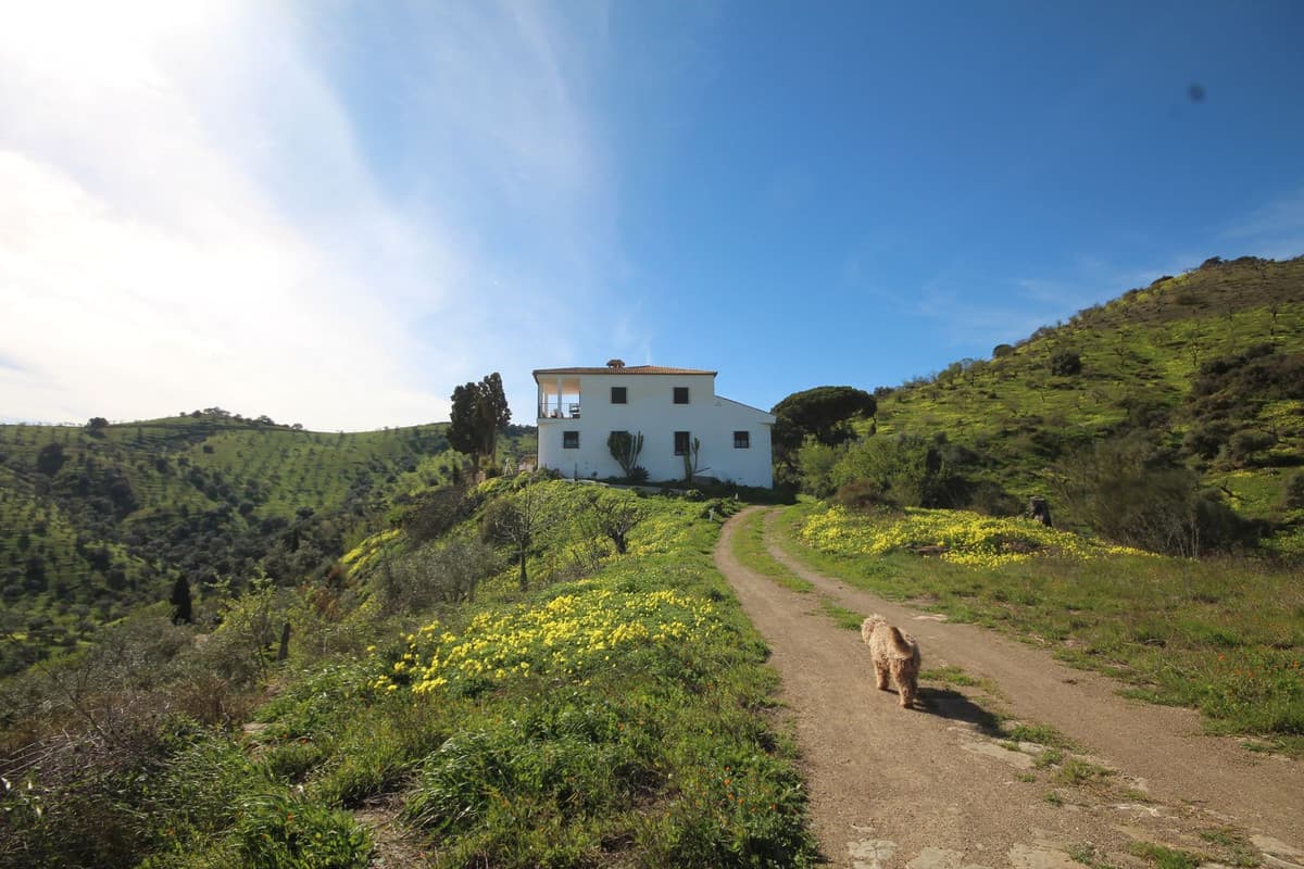Cortijo in Almogía — photo 4 of 10