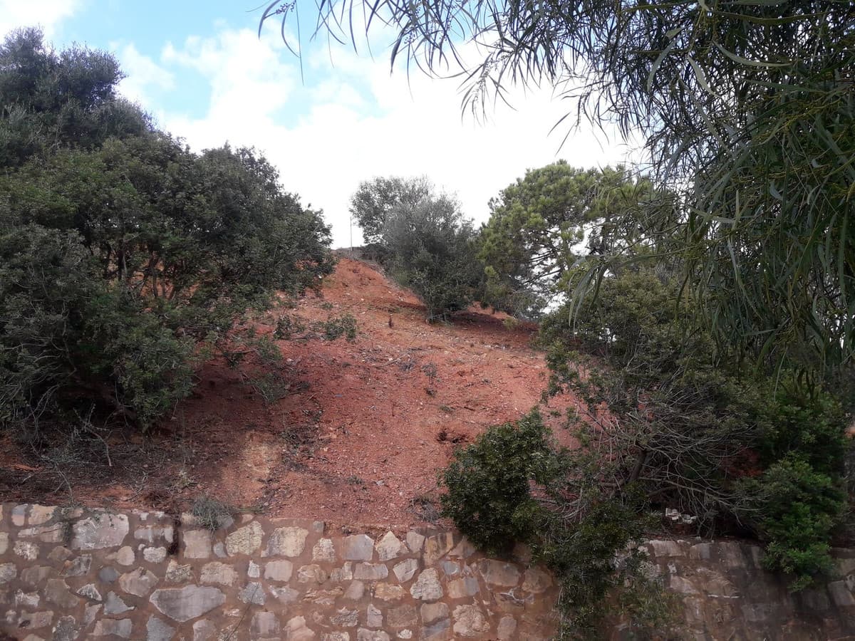 Residential Plot in Las Chapas — photo 2 of 3