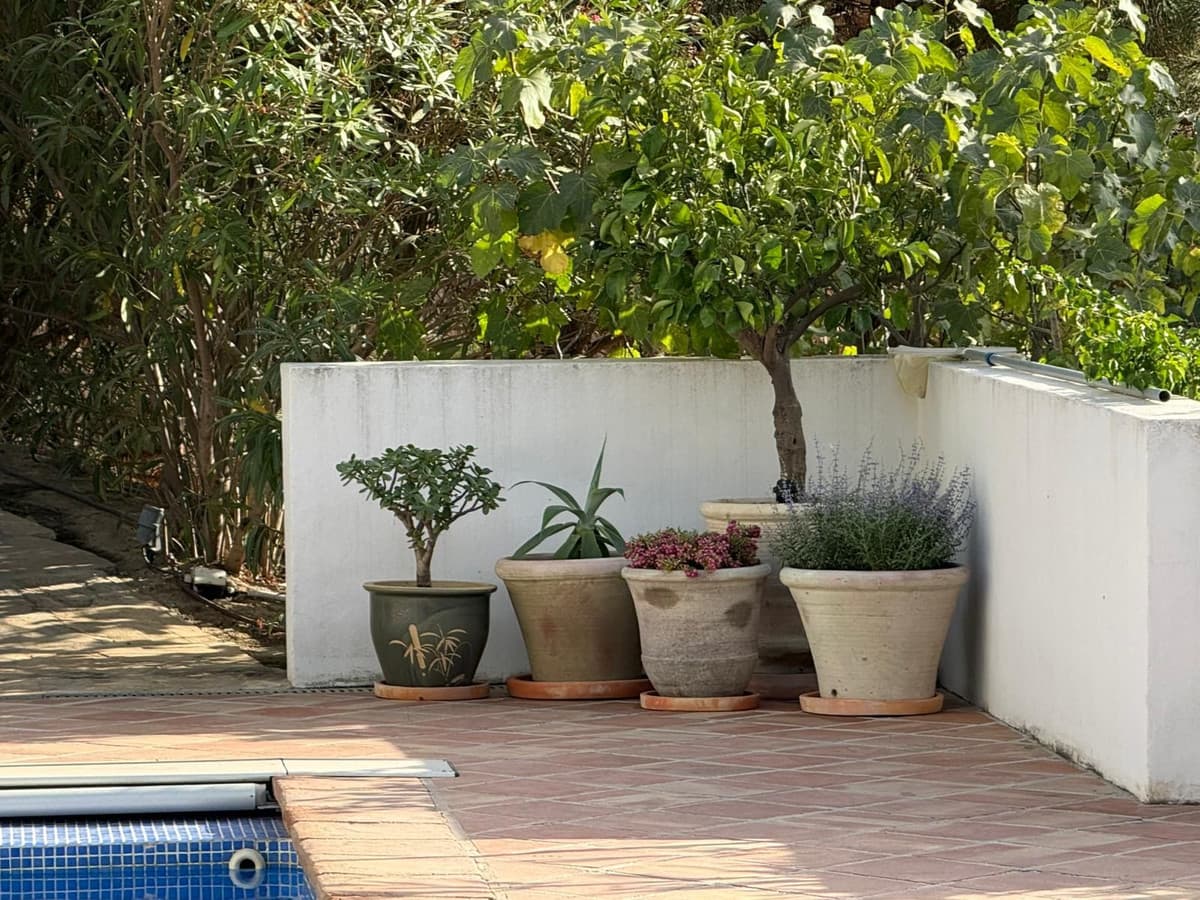 Detached Villa in Mijas — photo 8 of 10