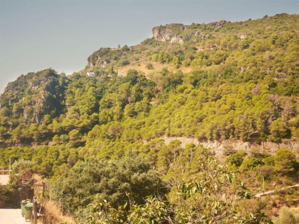 Cortijo in Casares — photo 6 of 9